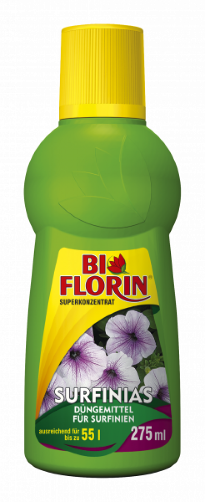 Bi Florin SURFINIAS (Surfinien)